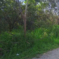 540-متر-زمین-بی-واسطه