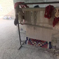 دار قالی|فرش|مرودشت, فرهنگ|دیوار