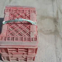 سبد حمل پرنده