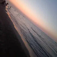 یک عدد کیف حاوی. کارت ملی شناسنامه