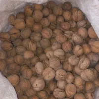 گردو مغز سفید اصل بدلان|خوردنی و آشامیدنی|خوی, |دیوار