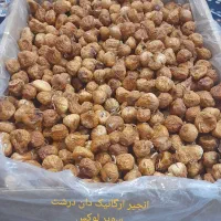 انجیر ارگانیک درجه یک* استهبان*