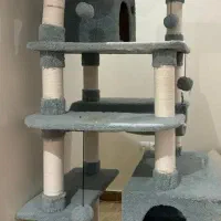 اسکرچر گربه هتل گربه ای|لوازم جانبی حیوانات|تهران, باغ خزانه|دیوار