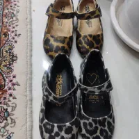 کفش اسپرت|کیف، کفش، کمربند|قم, چهل درخت|دیوار