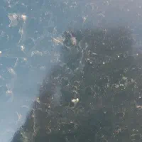 وام مهربانی|خدمات مالی، حسابداری، بیمه|سنندج, |دیوار