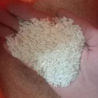 زیرقیمت کل بازار ایران|خوردنی و آشامیدنی|تاکستان, |دیوار