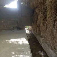 اجاره روزانه/هفتگی/ماهانه ویلا ۲۵۰ متری|اجارهٔ کوتاه‌مدت ویلا و باغ|چترود, |دیوار