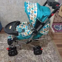 کالسکه|کالسکه و لوازم جانبی|پرند, فاز ۵|دیوار