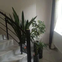 اجاره ویلا دوبلکس سه خوابه نوساز در دو طبقه|اجارهٔ کوتاه‌مدت ویلا و باغ|کلاردشت, |دیوار