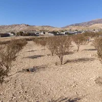 فروش زمین ملکشاهی (روستا قلعه جوق)|فروش زمین و ملک کلنگی|ملکشاهی, |دیوار