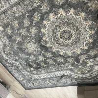 یک تخته فرش نو نو|فرش|شیراز, تلخ داش|دیوار