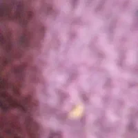 حمل با  هرس گیاهی نخال