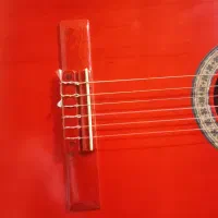 گیتار آنتونیو سانچز|گیتار، بیس، امپلیفایر|چابهار, |دیوار