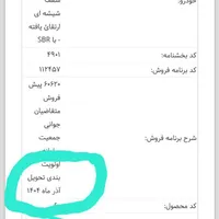 فروش حواله ۲۰۷ اتومات پانوراما آذر ماه|خودرو سواری و وانت|دهدشت, |دیوار