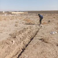 زمین-کوچه-حسین-پور