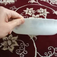 مرغ خوری اصل ارکوپال بادوام|ظروف سرو و پذیرایی|رباط‌کریم, شهرک صنعتی نصیرآباد|دیوار