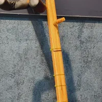 دوتار شمال خراسان|سازهای سنتی|نیشابور, شهرک ولیعصر|دیوار