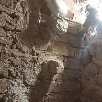 کفتر یا کبوتر