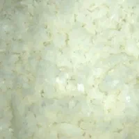 تفاله پیاز