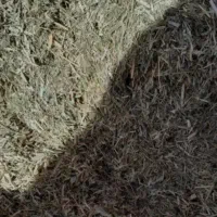 کاه یونجه دیم