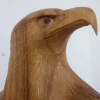 عقاب چوبی|صنایع دستی و سایر لوازم تزئینی|تهران, عباس‌آباد|دیوار