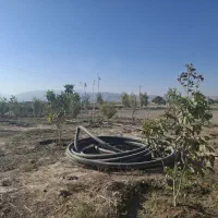 فروش باغ شهری|فروش خانه و ویلا|فیروزآباد (فارس), |دیوار