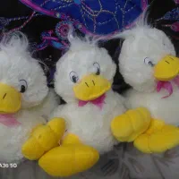 سه عدد اُردک پولیشی