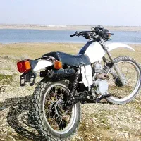xl250 کله اسبی