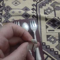 قاشق وچنگال نقره