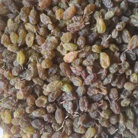 سایه خشک|خوردنی و آشامیدنی|ملایر, |دیوار