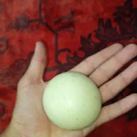سنگ الماس|جواهرات|اندیشه, شهرک مریم|دیوار