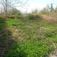 زمین سند دار با قابلیت ساخت