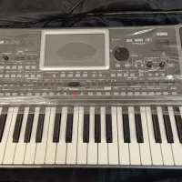 کیبورد- اورگ pa900|پیانو، کیبورد، آکاردئون|میمه, |دیوار