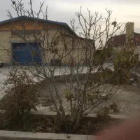 استخدام نیروی کار