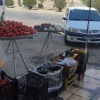 فروش مغازه میوه فروشی|اجارهٔ مغازه و غرفه|شیراز, کوشک میدان|دیوار