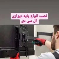 نصب آنتن تخصصی|خدمات پیشه و مهارت|شیراز, زند|دیوار