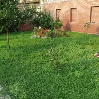 خدمات گل و گیاهان فضای سبز و علف تراشی باغ
