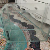 اکواریوم به همراه وسایل