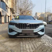 وویا فری،۲۰۲۳