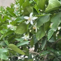 فروش-منزل-یک-خواب-سلطان-آباد