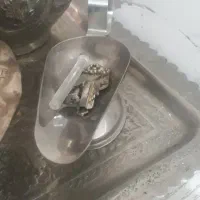 لوازم انتیک و قدیمی قلم کاری|کلکسیون اشیاء عتیقه|تهران, تهرانپارس شرقی|دیوار