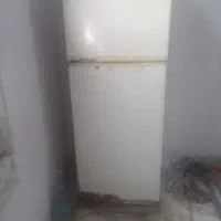 یخچال فروشی همه چیش سالمه