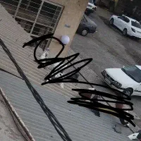 کفتر گم شده