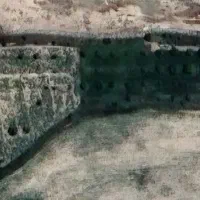 نصف باغ و نصف زمین خالی