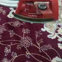 دوعد اتو بخار سالم