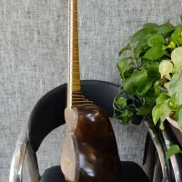 تار حرفه ای خوش صدا|سازهای سنتی|جهرم, |دیوار