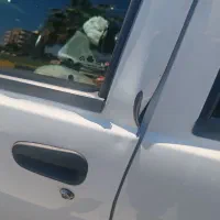 ساینا معمولی