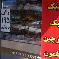 شاگرد مرغ خرد کن