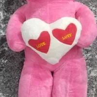 خرس بزرگ|اسباب‌‌بازی|نیشابور, سرآب کوشک|دیوار