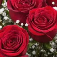 زاهدان گردی